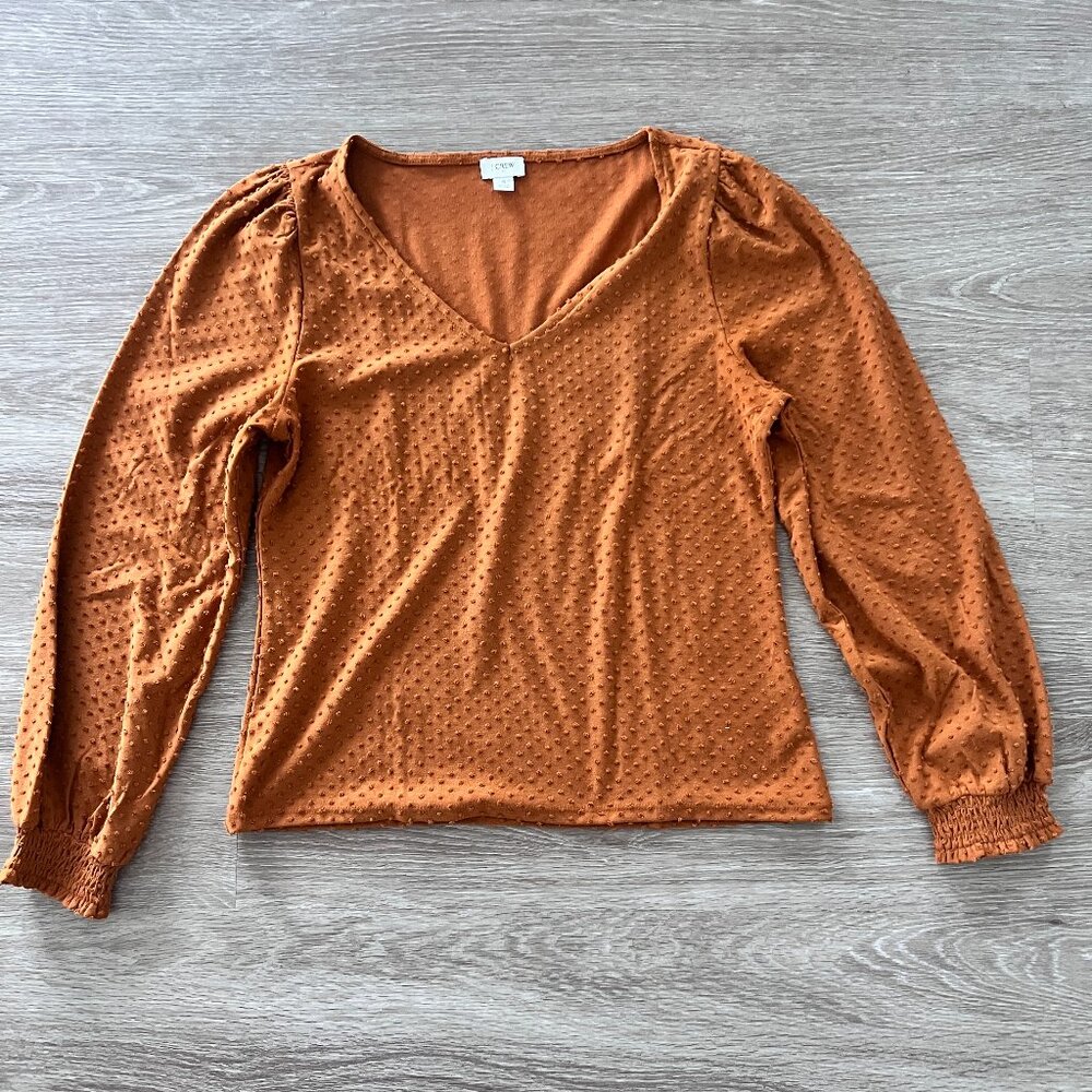 J Crew Swiss Dot Pullover Dressy Blouse
